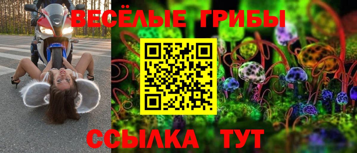 Галлюциногенные грибы мухоморы Ростов Великий