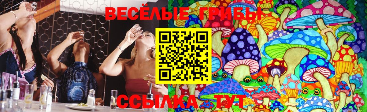 Псилоцибиновые грибы прущие грибы  Вход с VPN  цена   Ростов Великий  Псилоцибиновые грибы мицелий 